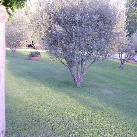 بيت ضيافة Luxardotel روما