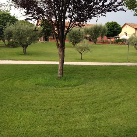 Luxardotel בית הארחה רומא