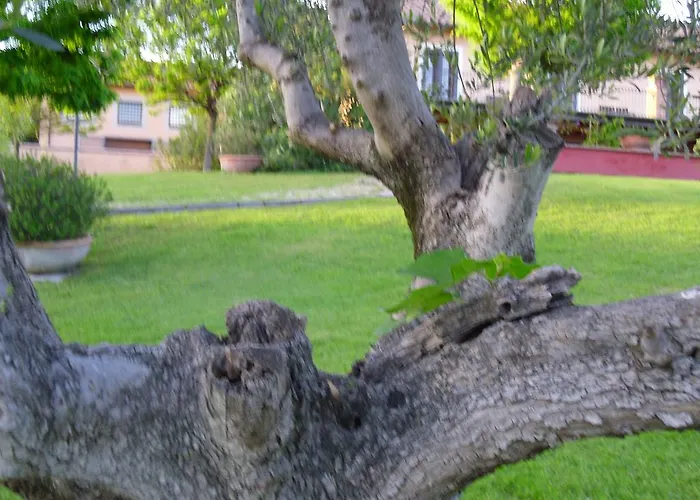 루사르도텔 로마