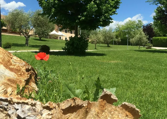 Πανσιόν Luxardotel 4*