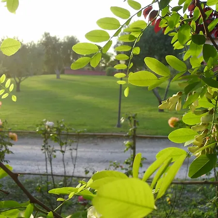 게스트하우스 루사르도텔 로마