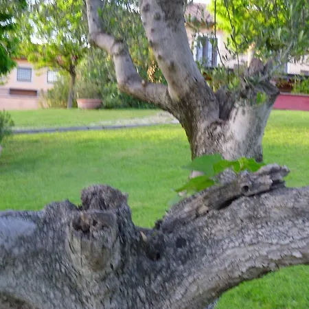 卢克萨德酒店 罗马