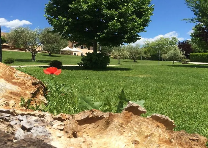 Luxardotel Гостевой дом 4*